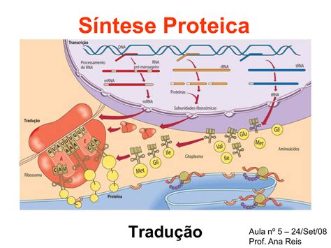 sintese proteica - peliculas famosas